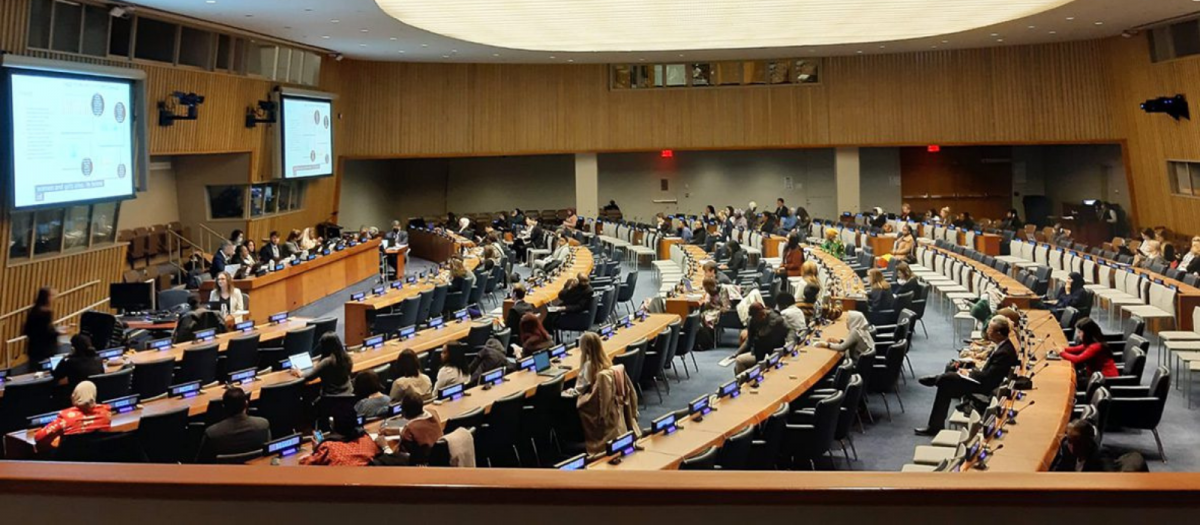 DIGRA at 67th Session on the Commission on the Status of Women (CSW67) in New York